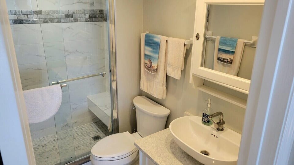 Master Bathroom Shower Only