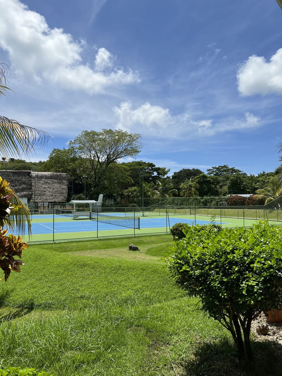 Sport court