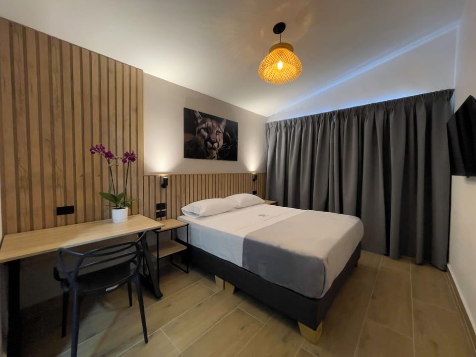 Luxury Suite | WiFi (free), bed sheets
