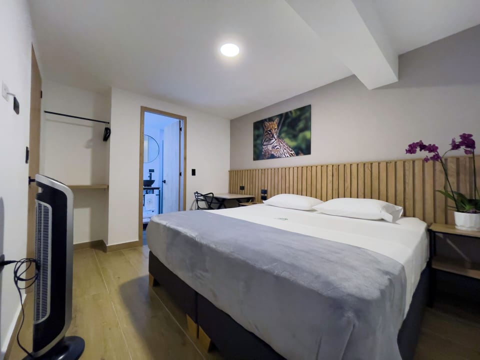Comfort Double or Twin Room | WiFi (free), bed sheets