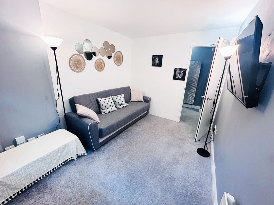 Living room with sofa bed and TV