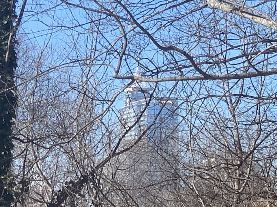 skyline seasonal view of downtown raleigh