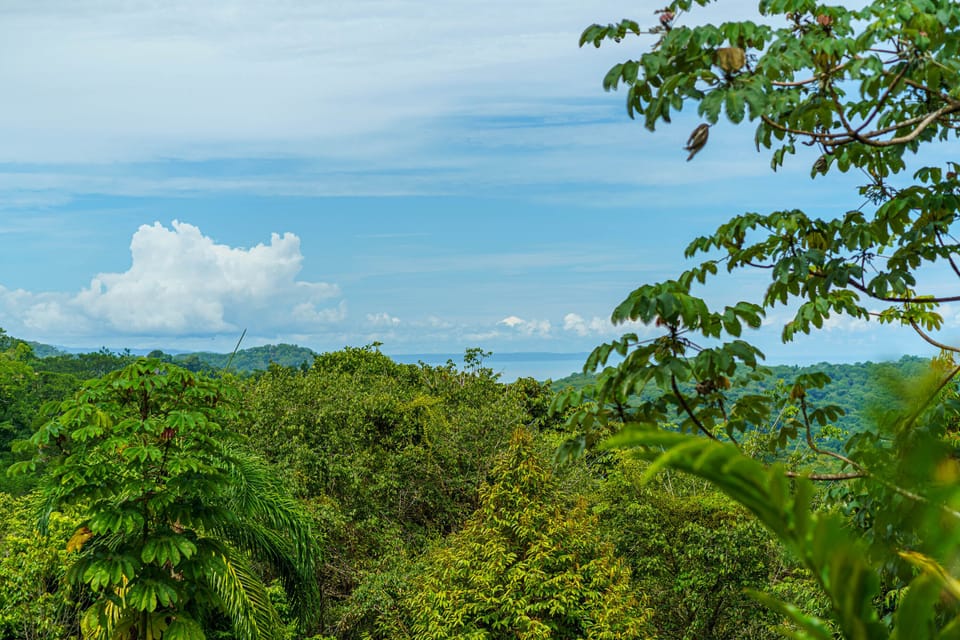 View from the casita bedroom looking over the jungle canopy out to the ocean.