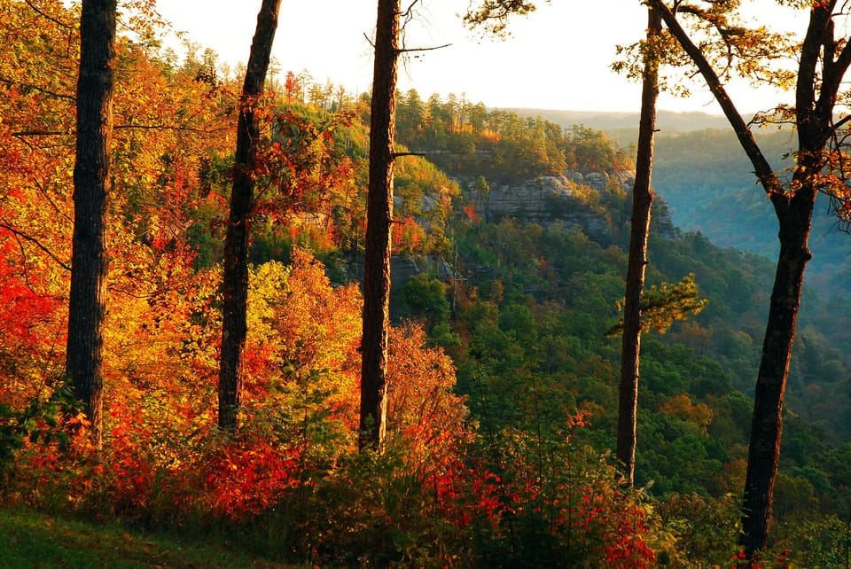 The Changing Colors are Spectacular
