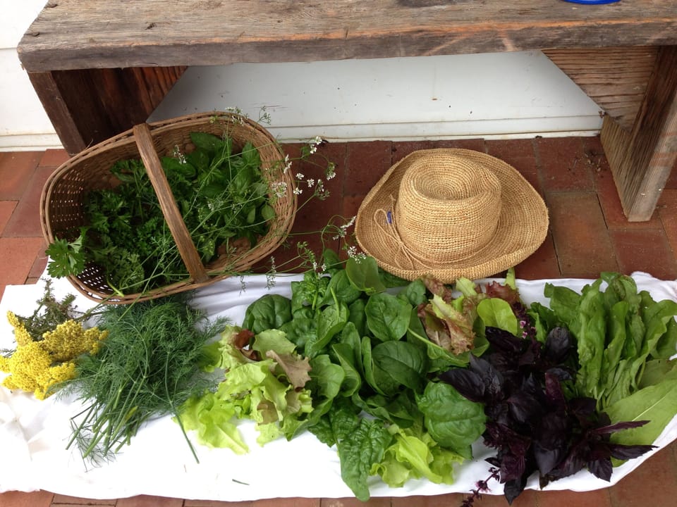 Harvest and hat