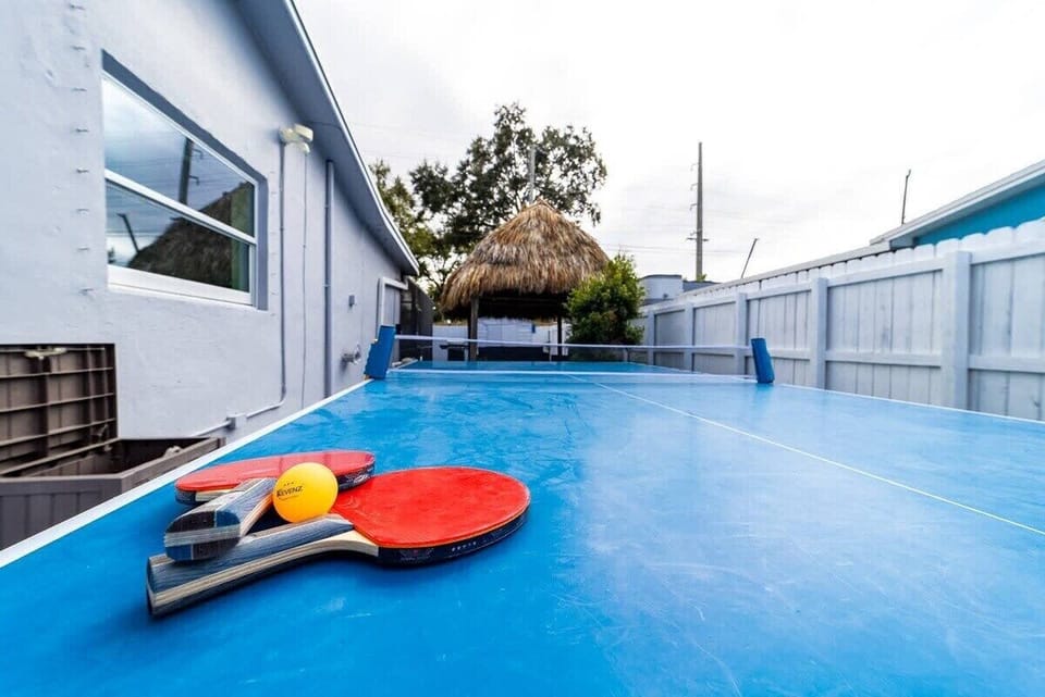 Ping Pong Table