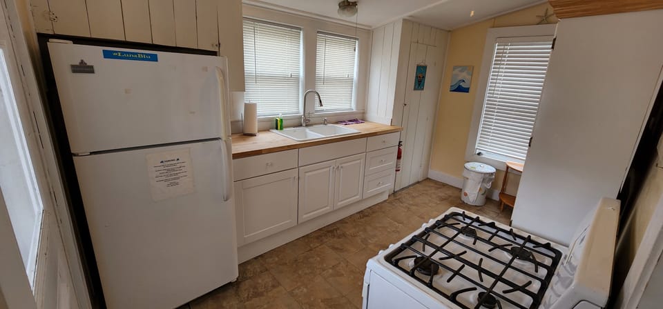 Lazy Parrot kitchen 
