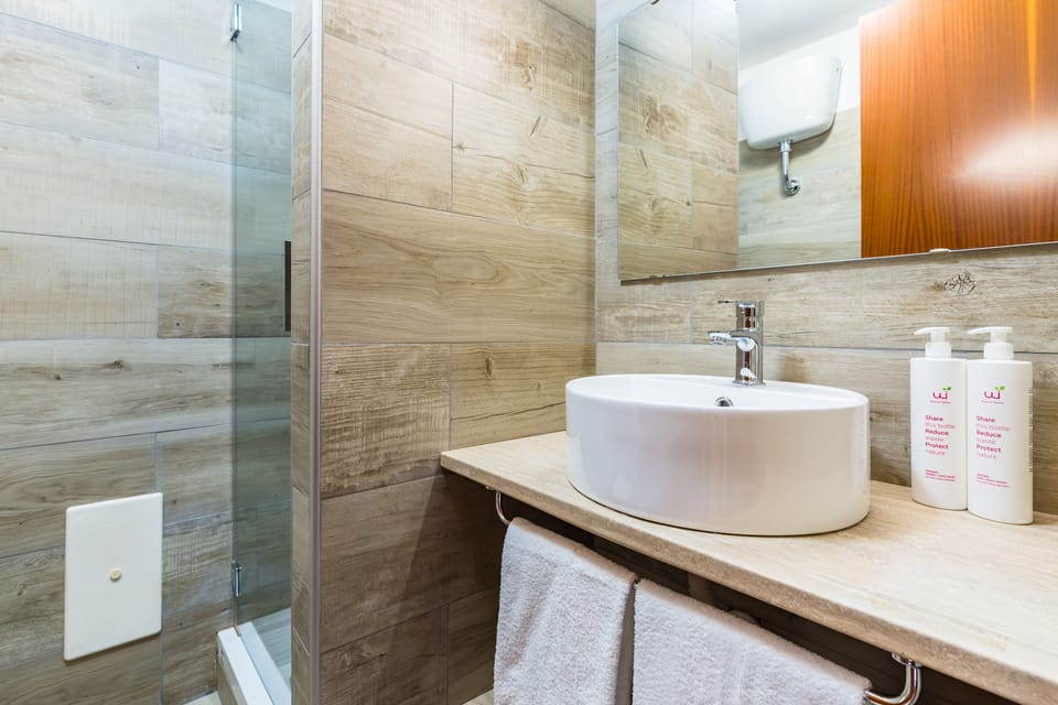 Apartment | Bathroom | Shower, rainfall showerhead, free toiletries, hair dryer