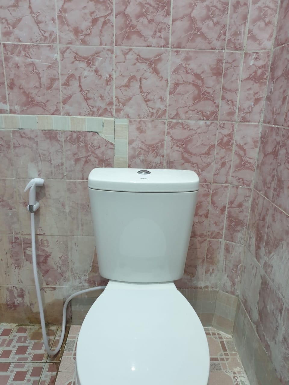 Shower, towels, toilet paper