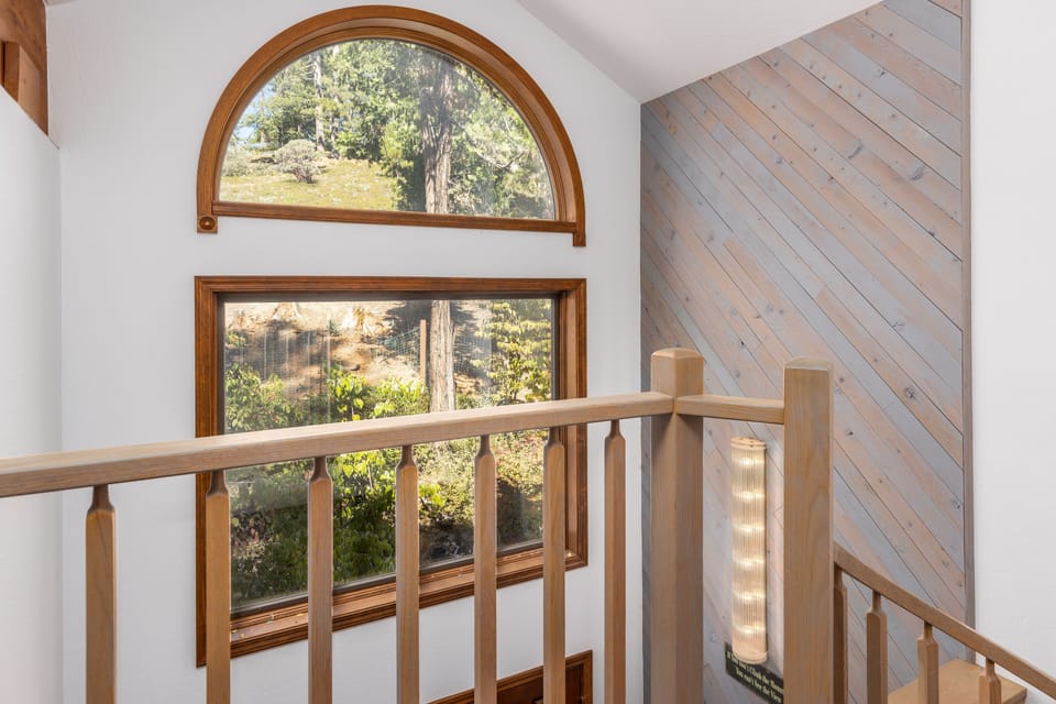 Beautiful forest views from every window in the house.