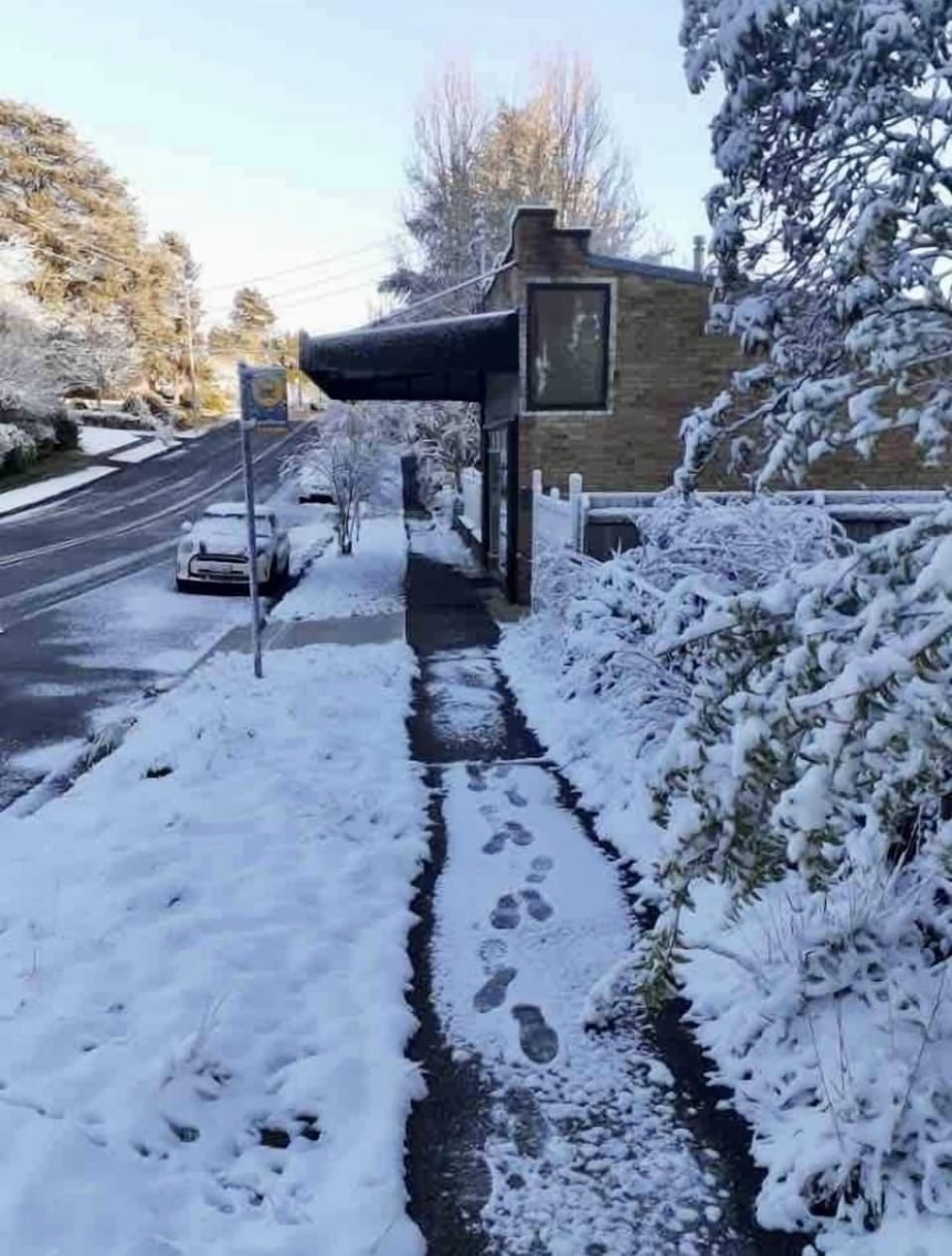 Mrs McCall’s in the snow