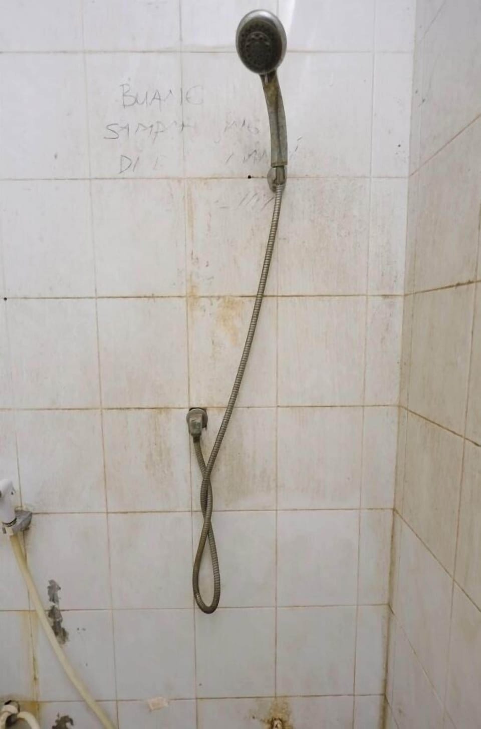 Shower, towels