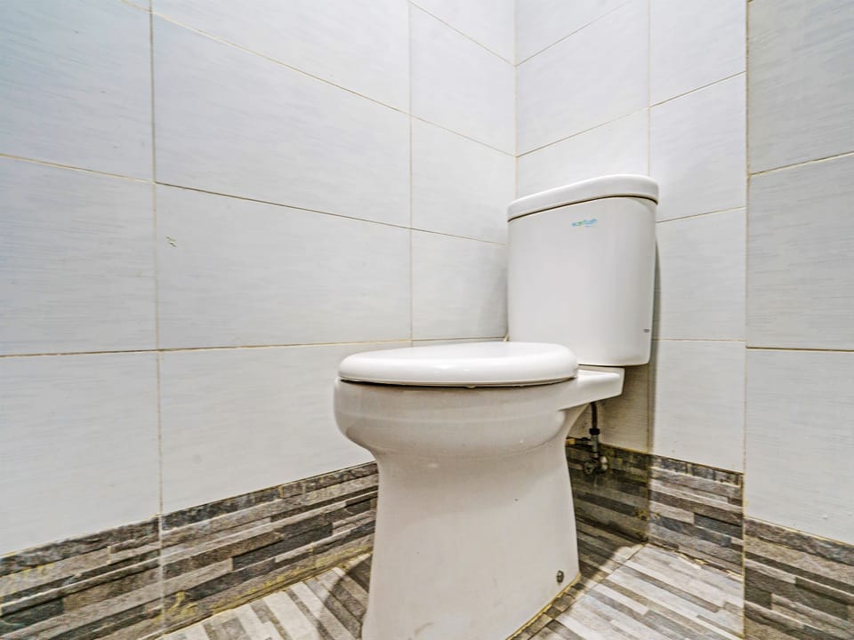 Shower, towels, toilet paper