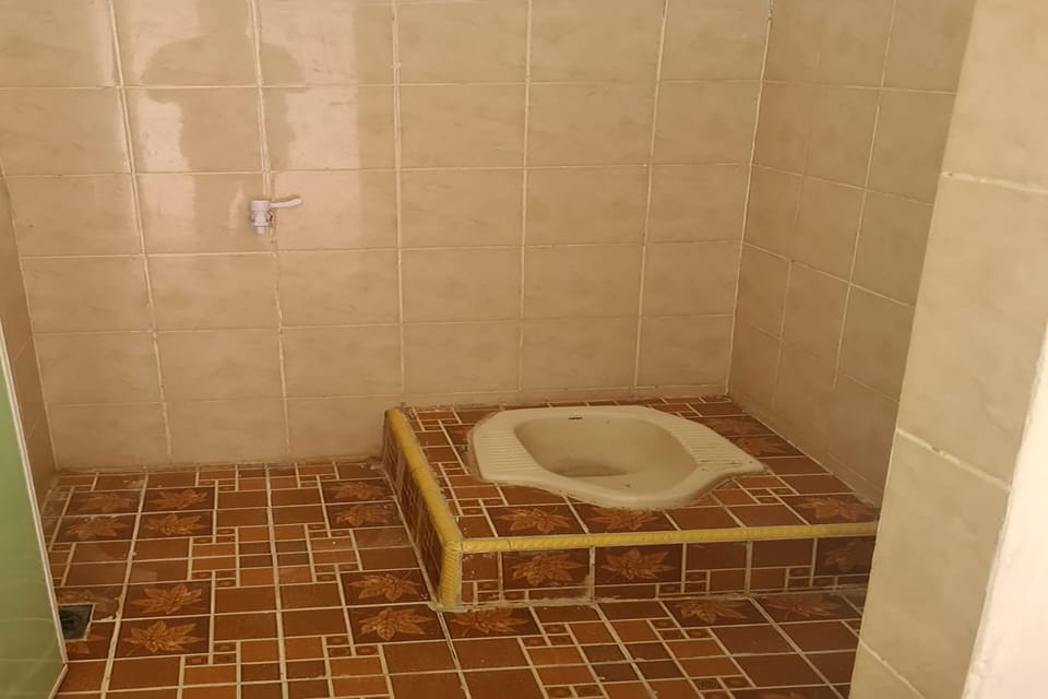 Shower, towels, toilet paper