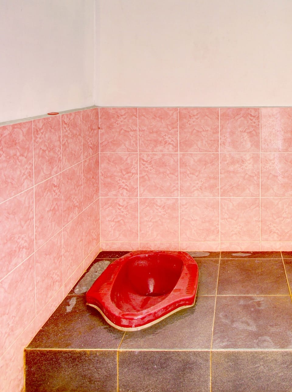 Shower, towels, toilet paper