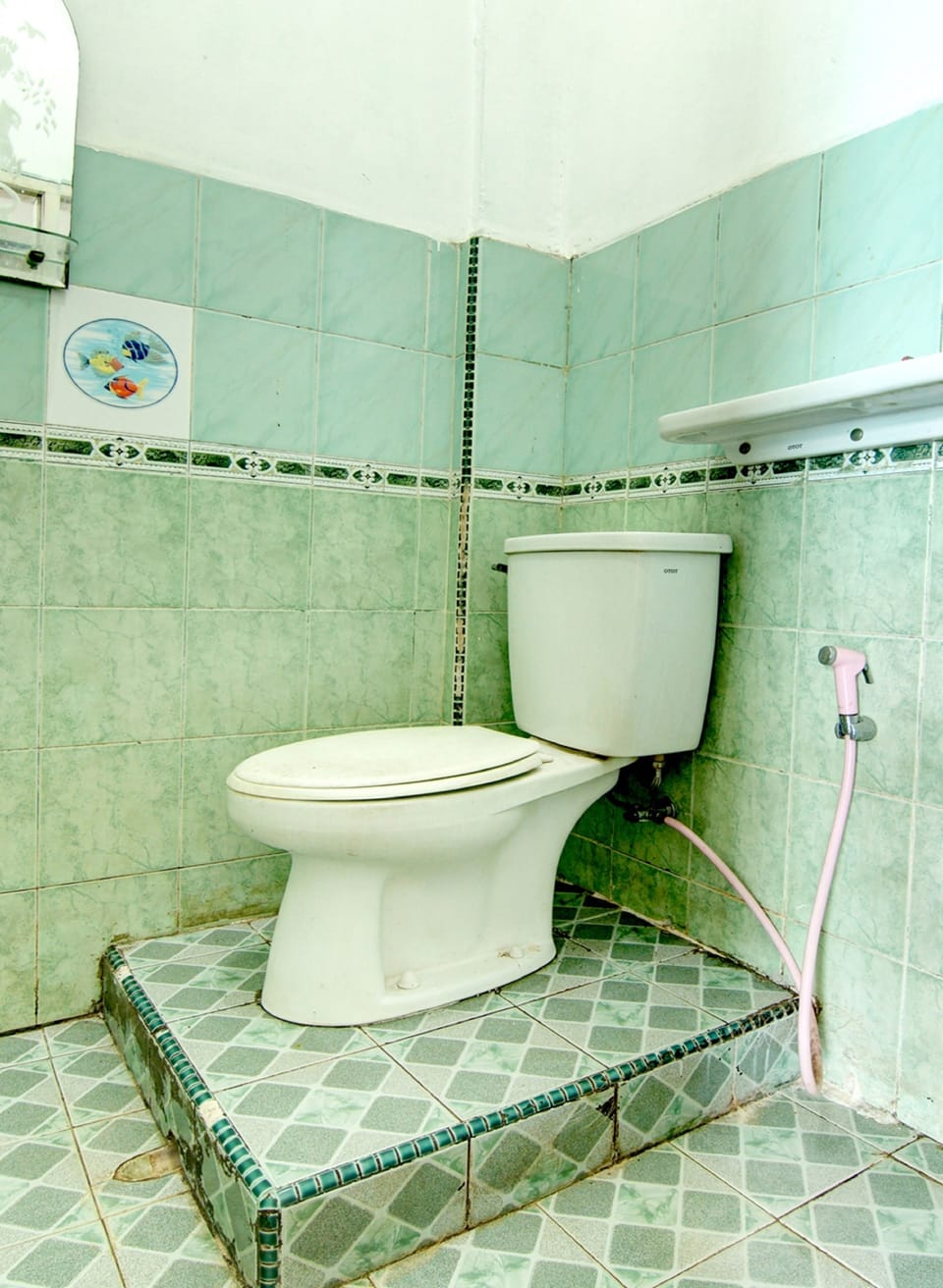 Shower, towels, toilet paper
