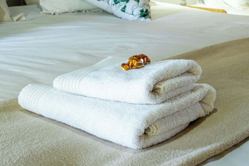 Luxury Room | WiFi (free), bed sheets