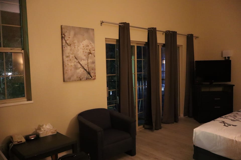 Business Room | Blackout drapes, iron/ironing board, free WiFi, bed sheets