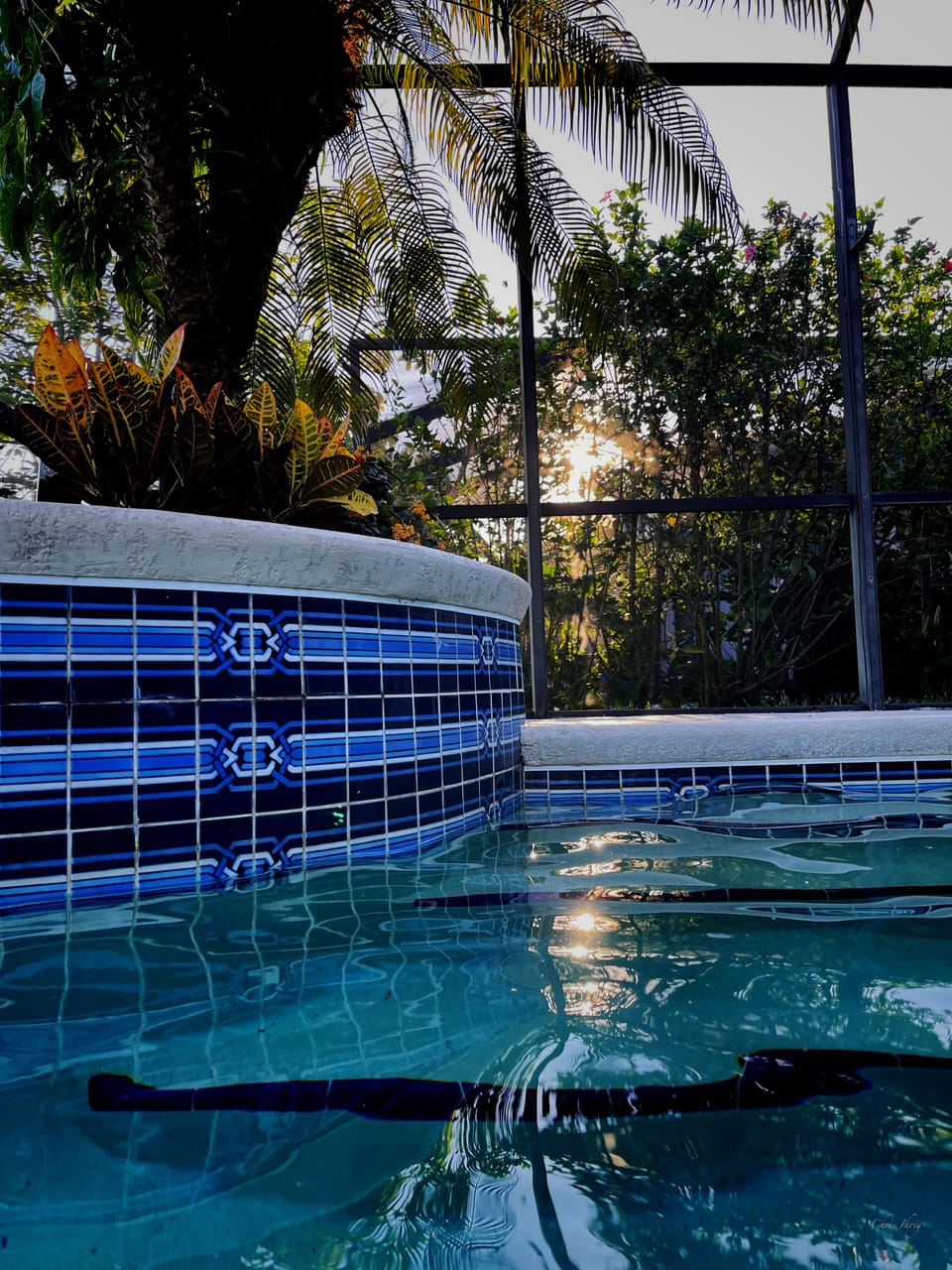 Exquisite Tiled Pool