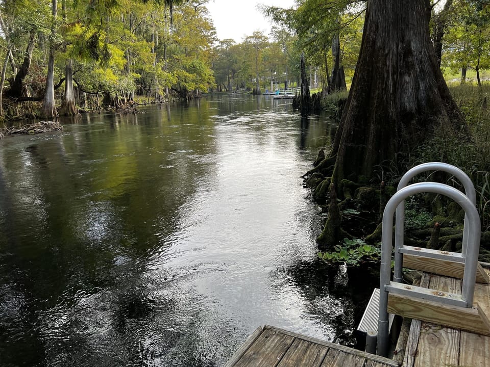 Dock, stairs, and ladder for water access