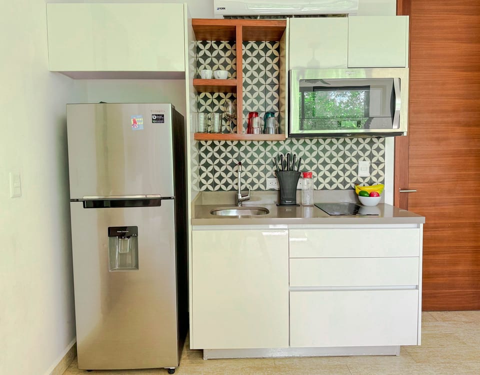 Deluxe Apartment | Private kitchen | Coffee/tea maker, microwave, electric kettle, blender