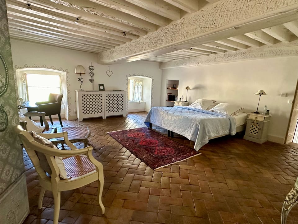 Deluxe Double Room | Egyptian cotton sheets, premium bedding, individually decorated