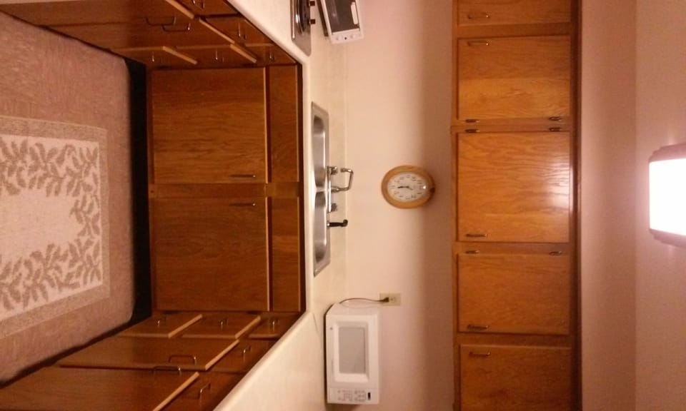 Deluxe Suite | Private kitchen | Full-size fridge, microwave, eco-friendly cleaning products