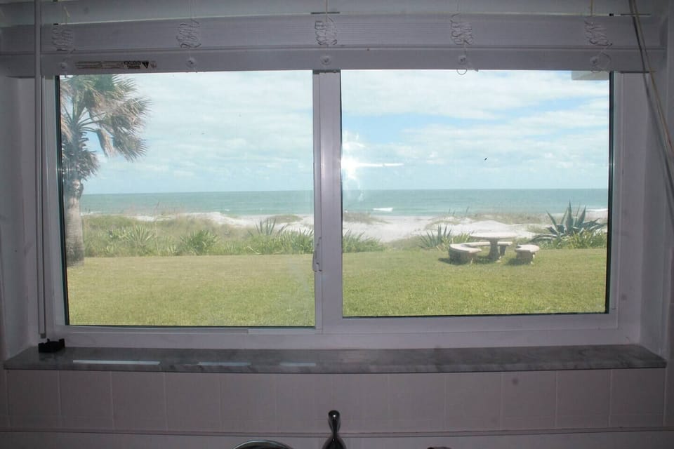 View from kitchen.