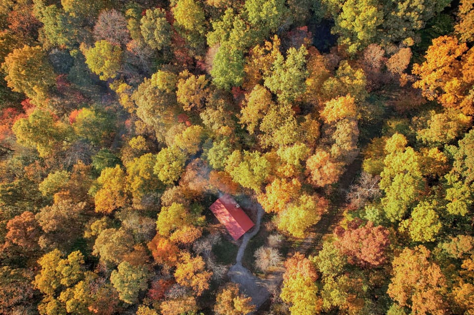 A secluded escape nestled among the trees, captured beautifully in this aerial view.