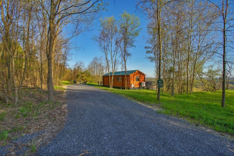 Gravel driveway leading to a cozy cabin