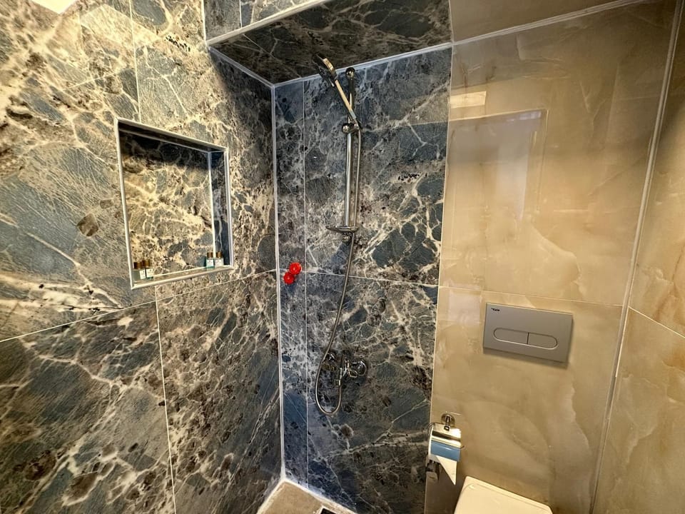 Business Room | Bathroom | Shower, free toiletries, hair dryer, slippers