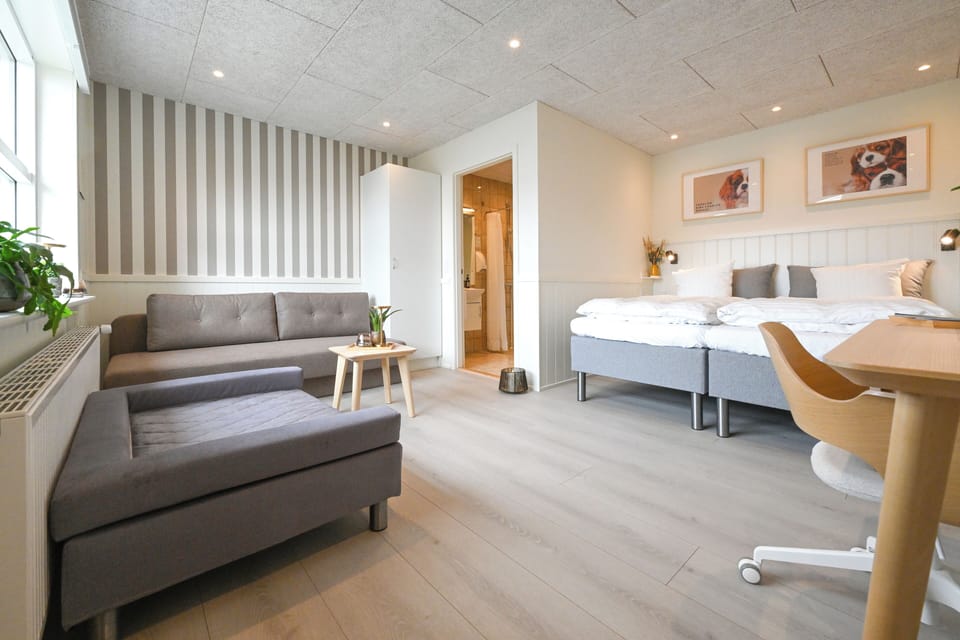 Hypo-allergenic bedding, desk, laptop workspace, soundproofing