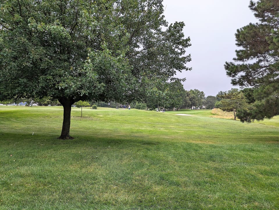 109 Soft Shell Cove - Lush Backyard and Open Green Space - A view of the expansive, well-maintained lawn and mature trees surrounding the property.