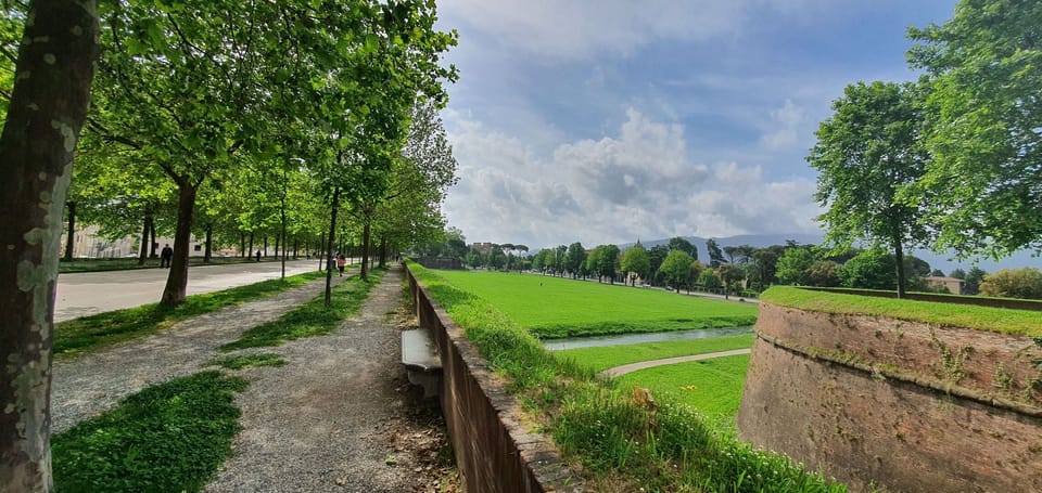 Green, Grass, Plain, Groundcover, Garden, Lawn, Landscaping, Walkway, Park, Plantation