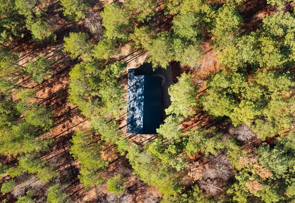 Nestled among the trees, your private getaway awaits.