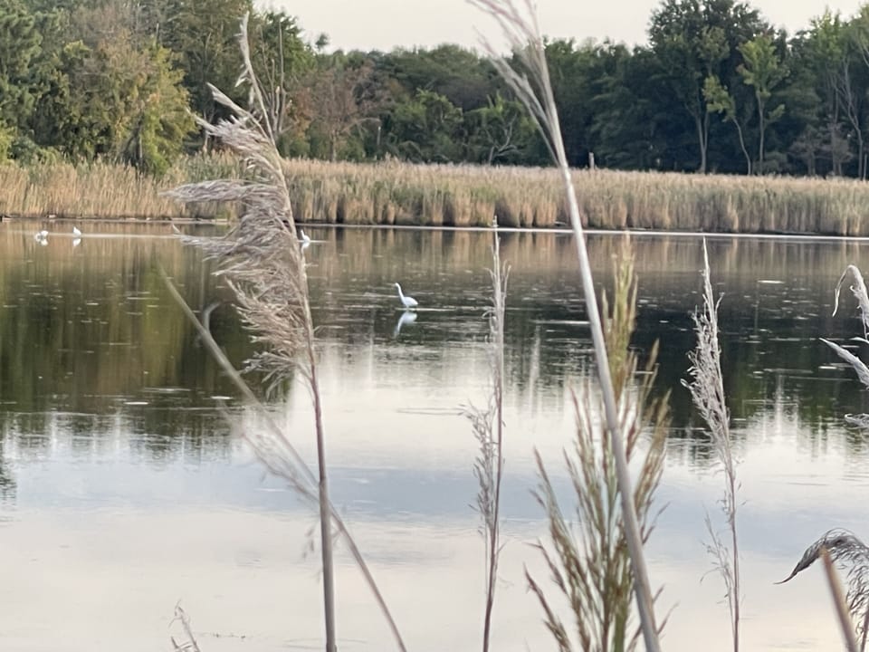 Terrapin Nature Park