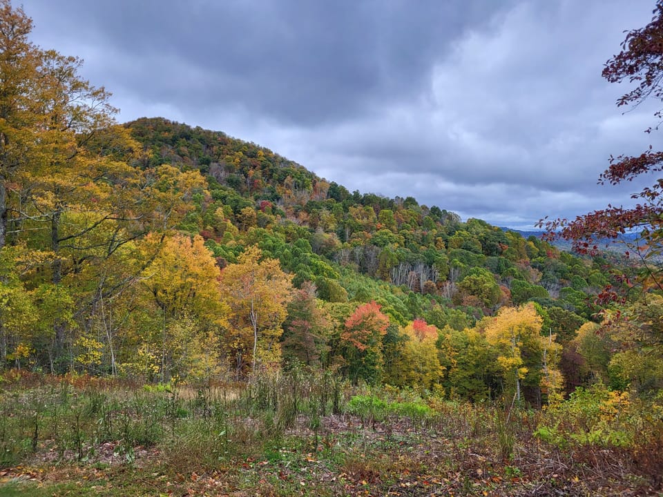 Fall Colors at Echota on the Ridge Neighborhood 