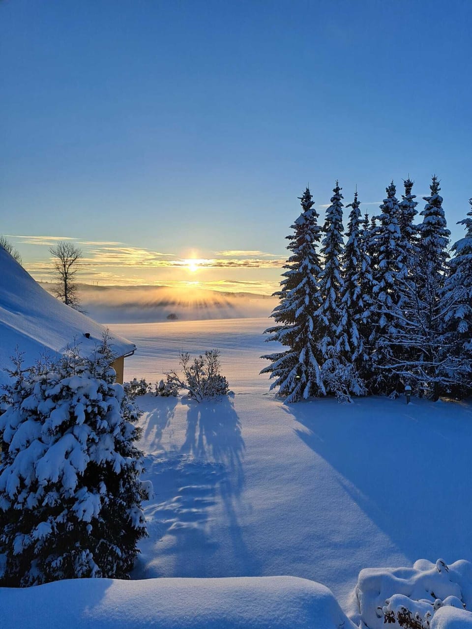 Snow and ski sports