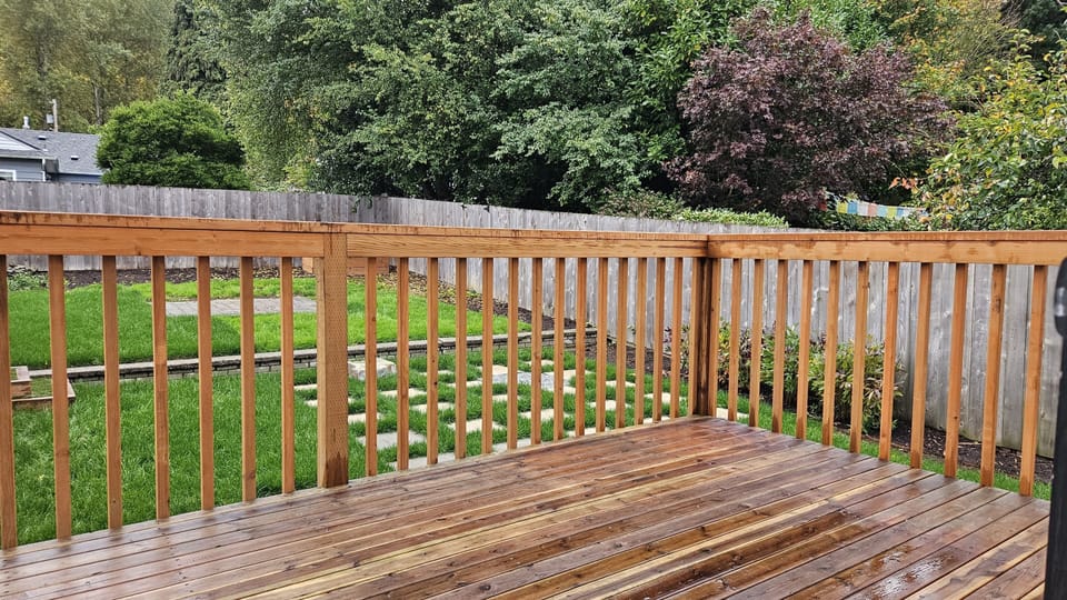 Back patio and lawn.
