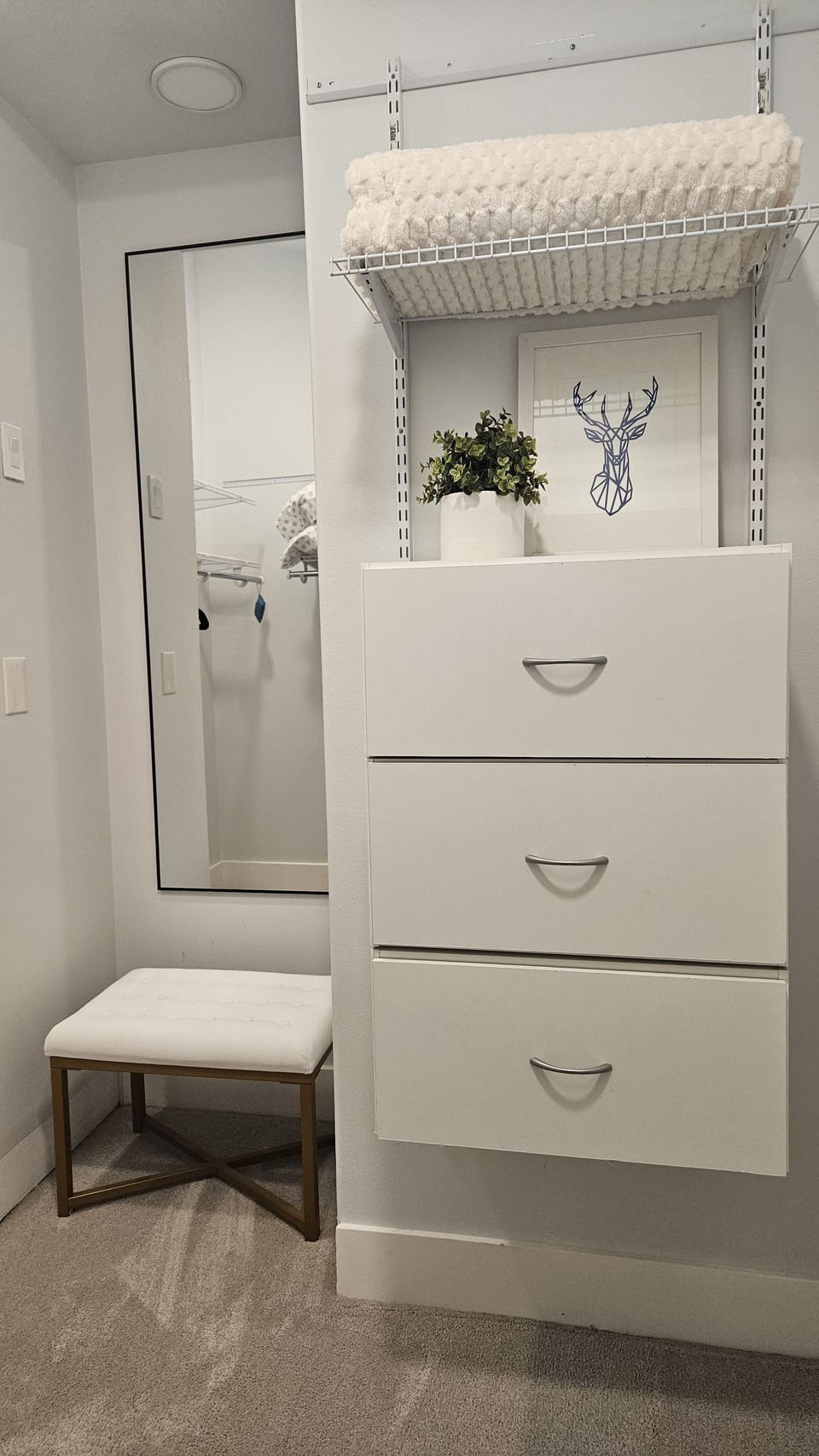 Walk in closet off the master bathroom. 