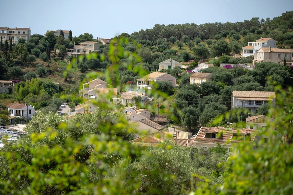 View of the village from a watching spot