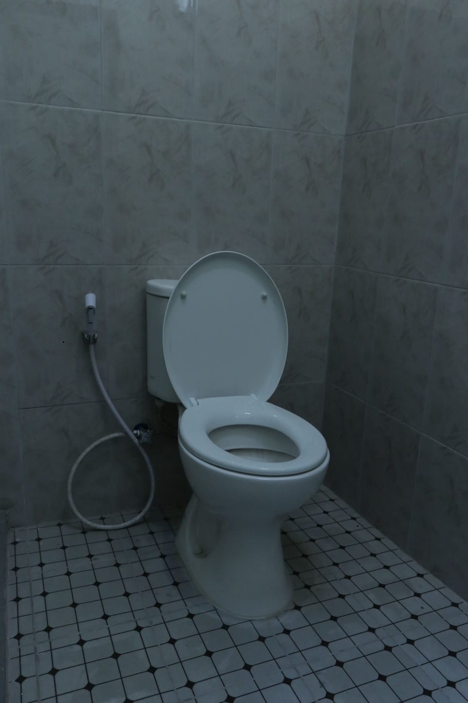 Basic Twin Room | Bathroom | Shower, toilet paper