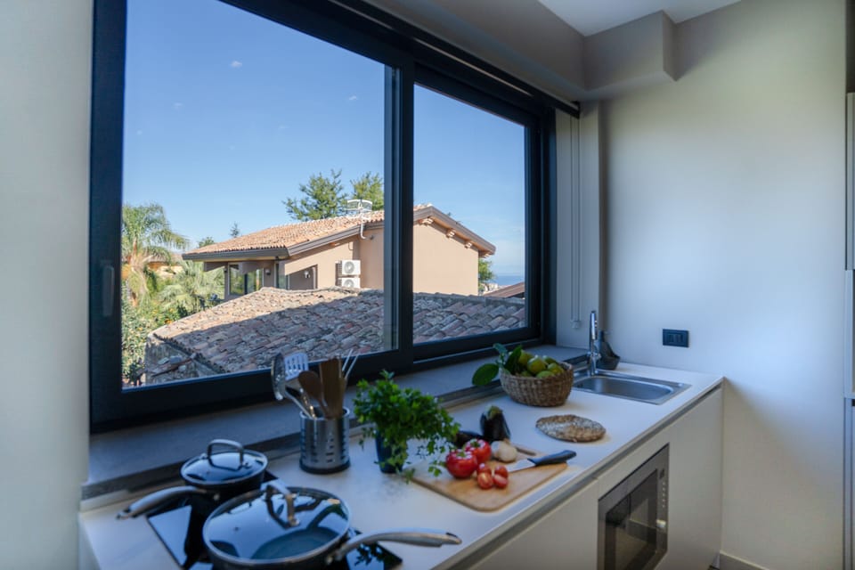 Deluxe Apartment, Mountain View | Private kitchen | Full-size fridge, microwave, stovetop, electric kettle