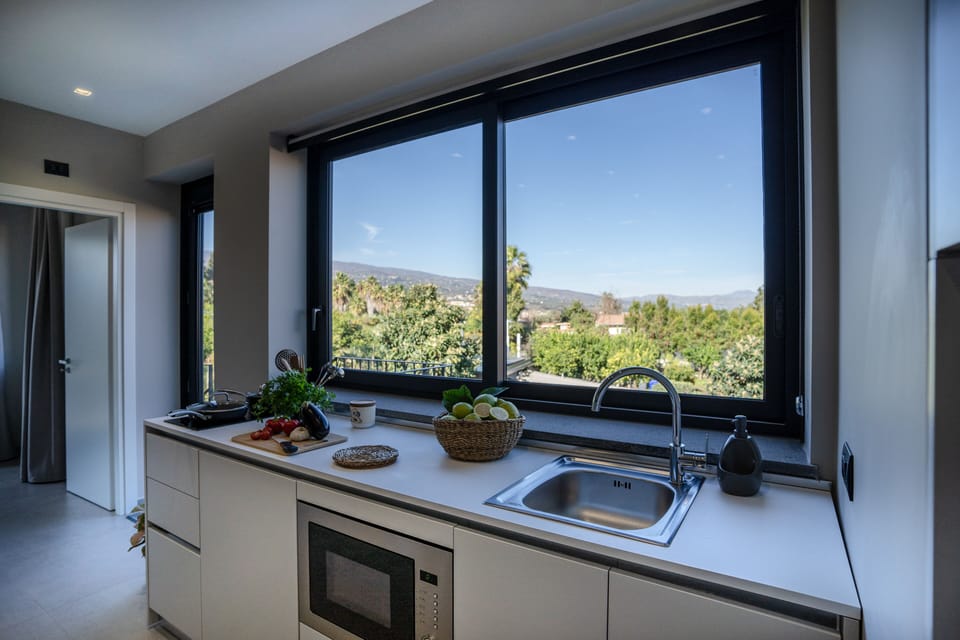 Deluxe Apartment, Mountain View | Private kitchen | Full-size fridge, microwave, stovetop, electric kettle