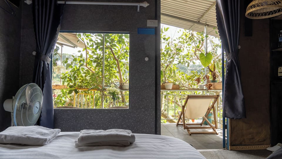 Basic Room | View from room