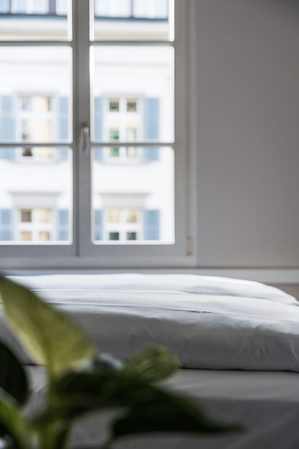 Superior Quadruple Room | View from room
