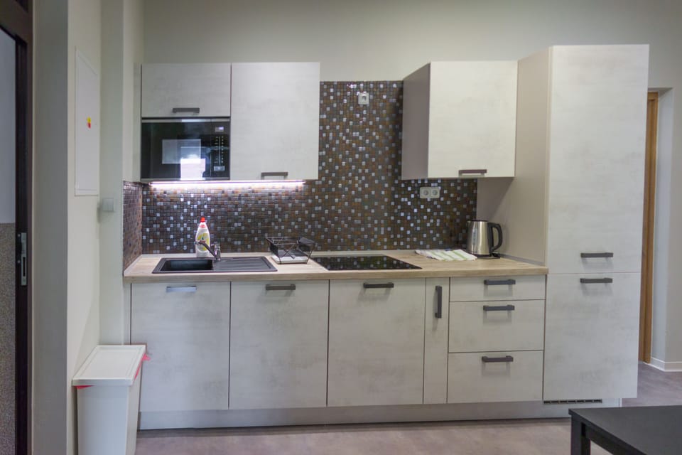 Full-size fridge, microwave, oven, stovetop
