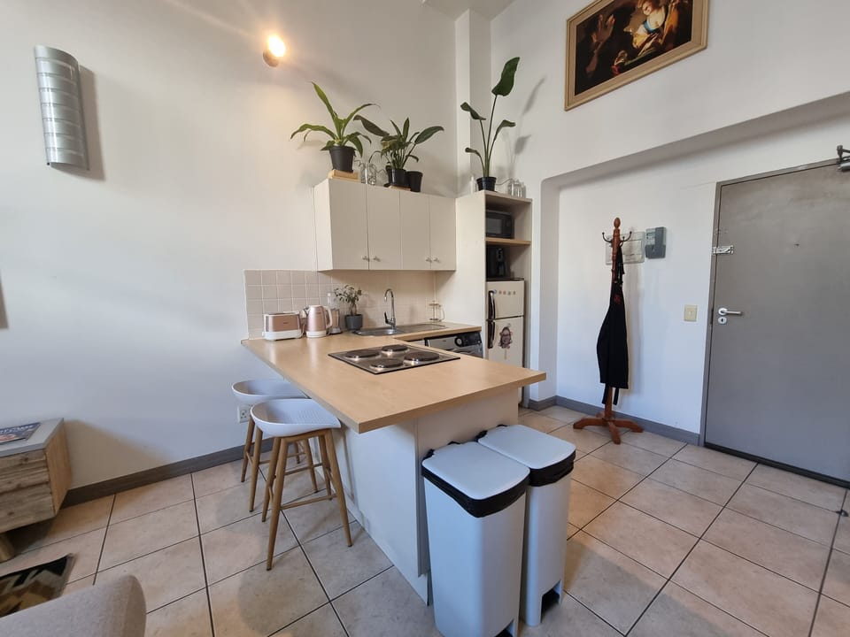 Apartment (1 Bedroom) | Private kitchen | Full-size fridge, microwave, oven, toaster