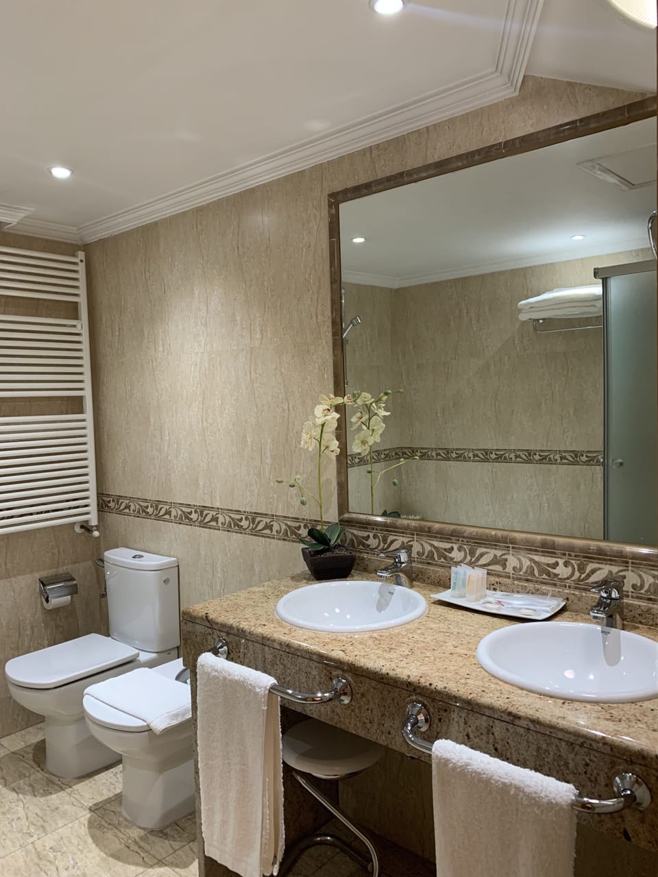 Presidential Suite | Bathroom | Jetted tub, hydromassage showerhead, free toiletries, towels