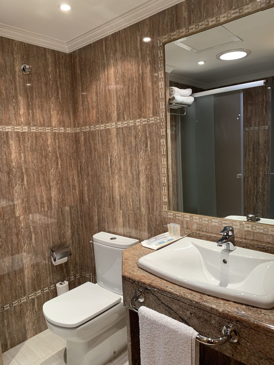 Deluxe Double or Twin Room | Bathroom | Jetted tub, hydromassage showerhead, free toiletries, towels